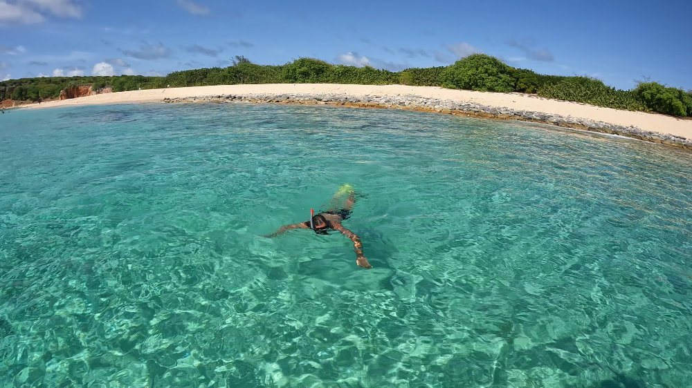 Tintamarre island
