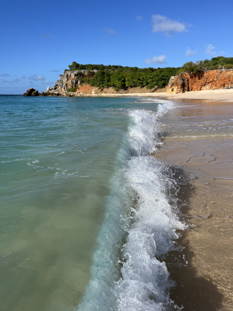 Tintamarre island
