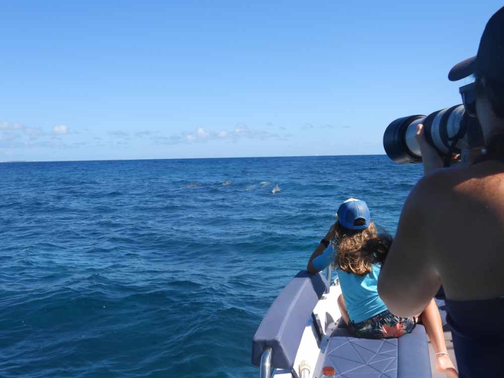 BioWhale project
