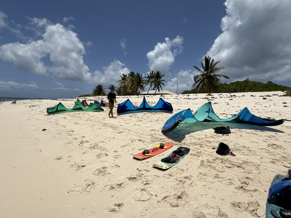 Kite wing Paradise